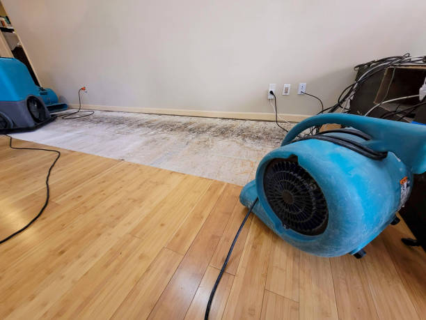 Reliable Basement Flood Cleanup contractor in Hobart, OK by Hirex Water Damage
